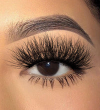 Eliza Lash set