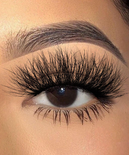 Eliza Lash set