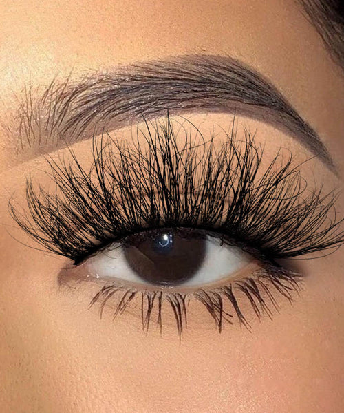 Jessica Lash set